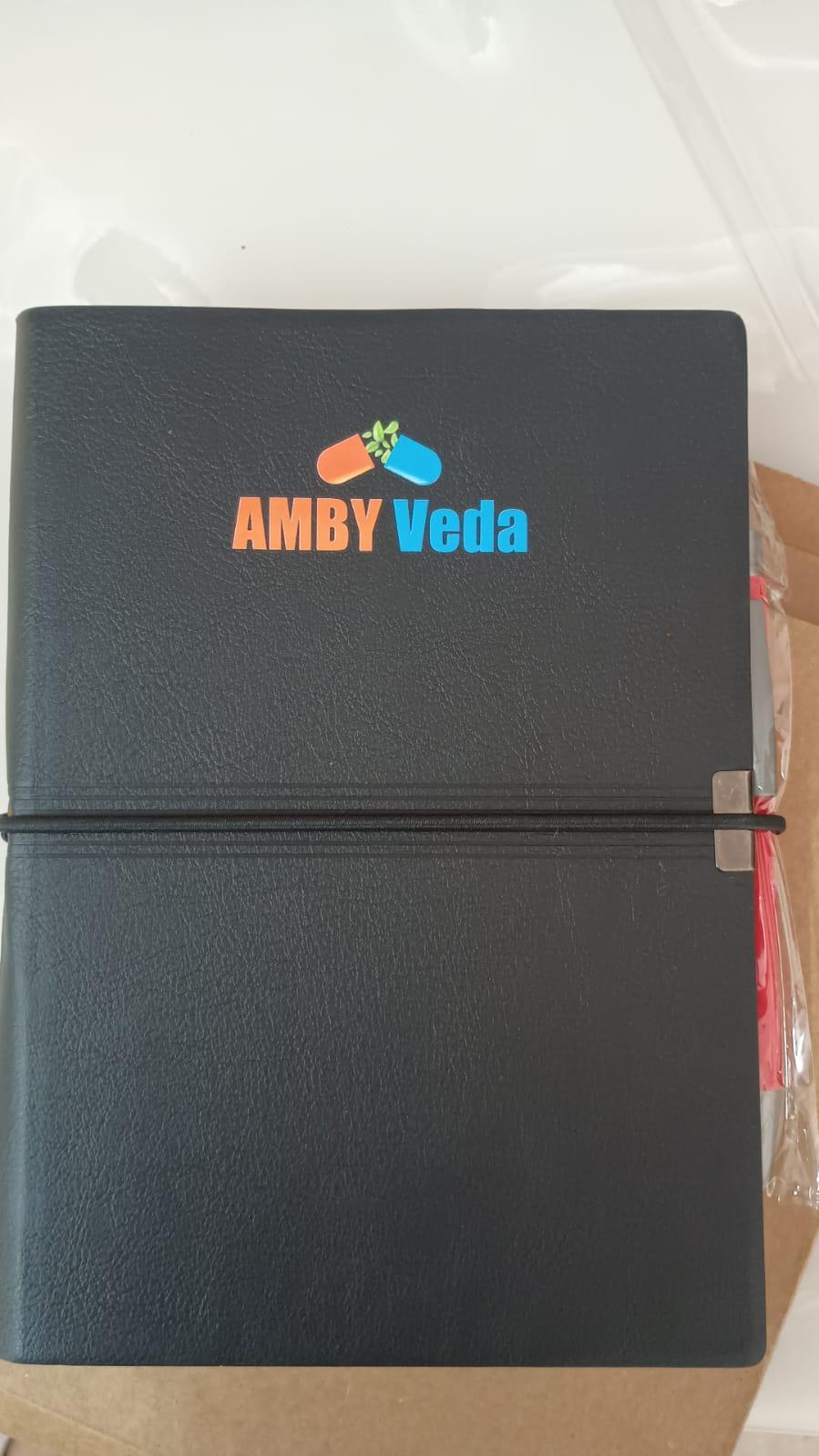 Corporate Diary Set 2025