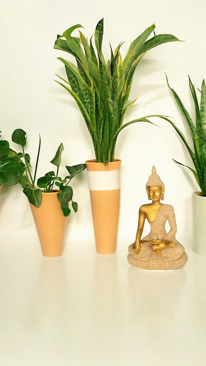 Beige and Golden Buddha for Car Dashboard: A Symbol of Serenity and Elegance