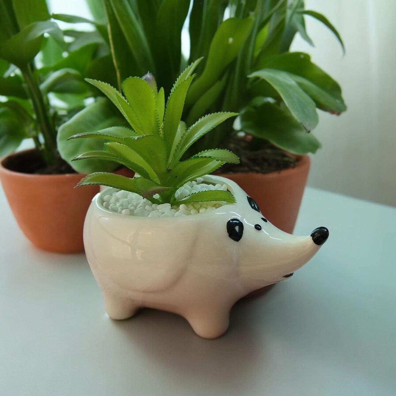 Kalakriti Ceramic Potted Plants in Cute Animal Shapes With artificial plants