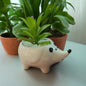 Kalakriti Ceramic Potted Plants in Cute Animal Shapes With artificial plants