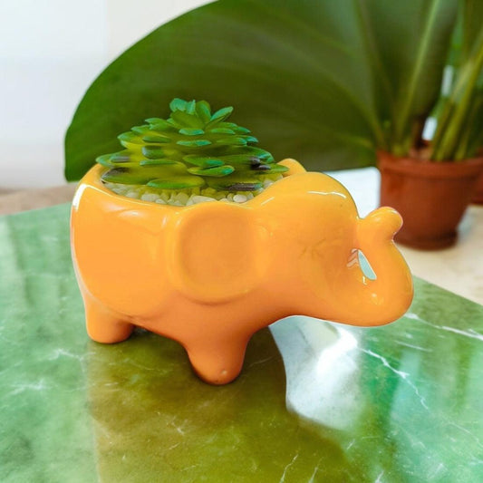 Kalakriti Ceramic Potted Plants in Cute Animal Shapes With artificial plants
