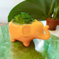 Kalakriti Ceramic Potted Plants in Cute Animal Shapes With artificial plants