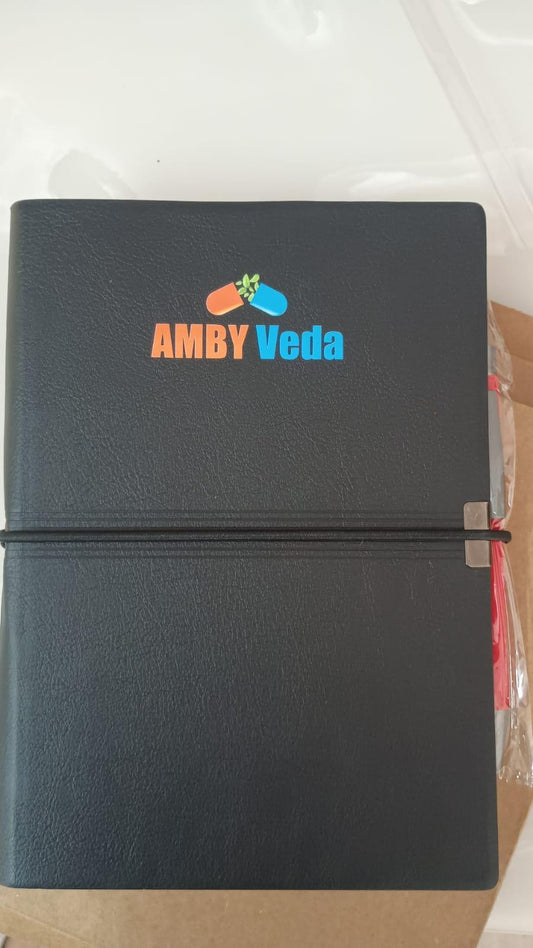 Corporate Diary Set 2025