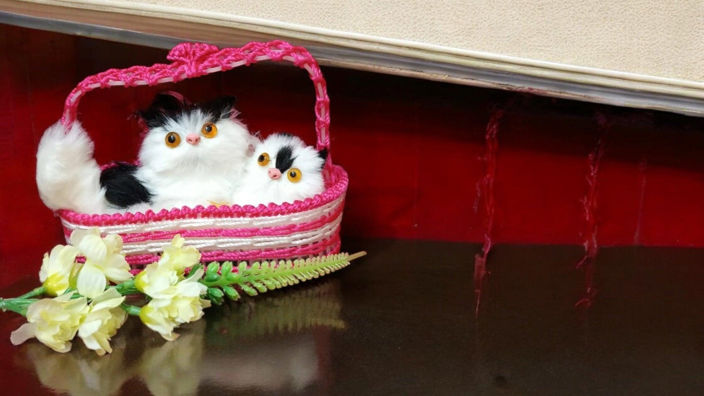 Adorable Kitten Pair in Basket