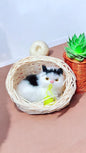 Kitten in Basket Toy – Mini Cat Stuffed Animal Doll with Meow Sounds