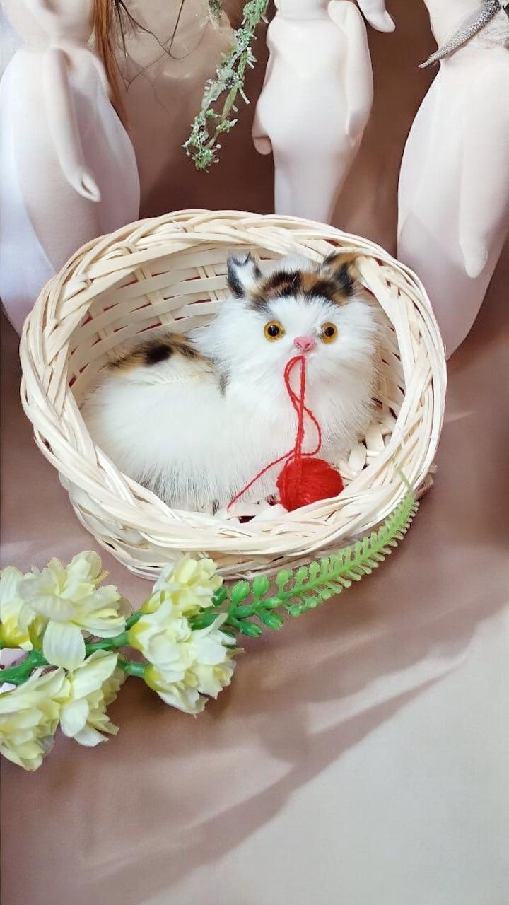Kitten in Basket Toy – Mini Cat Stuffed Animal Doll with Meow Sounds