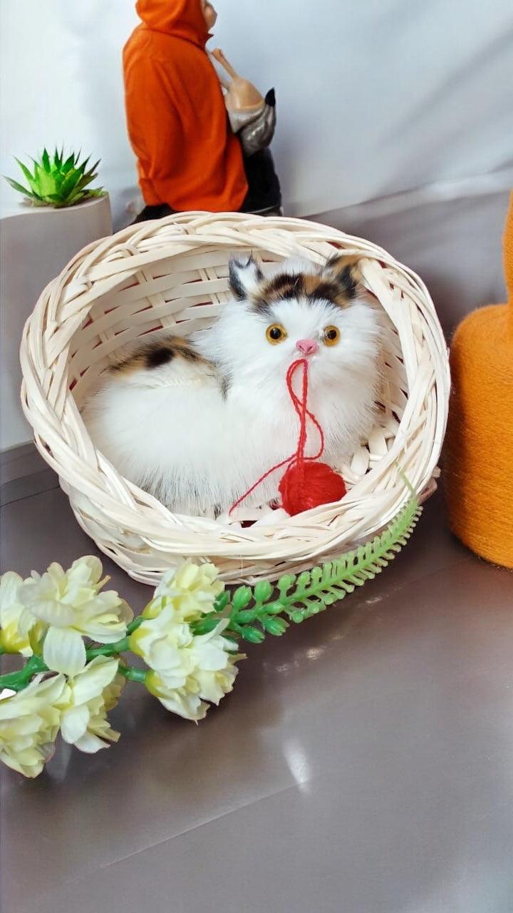 Kitten in Basket Toy – Mini Cat Stuffed Animal Doll with Meow Sounds