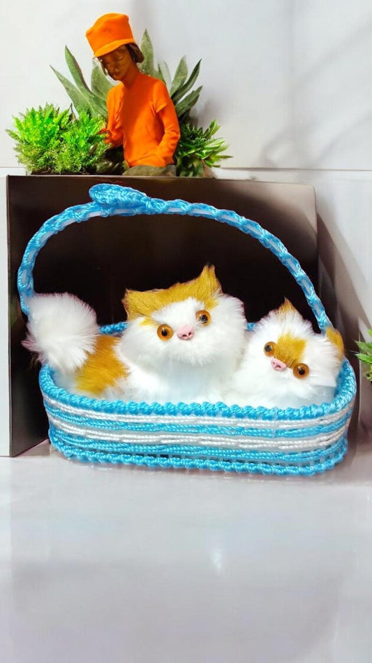 Adorable Kitten Pair in Basket