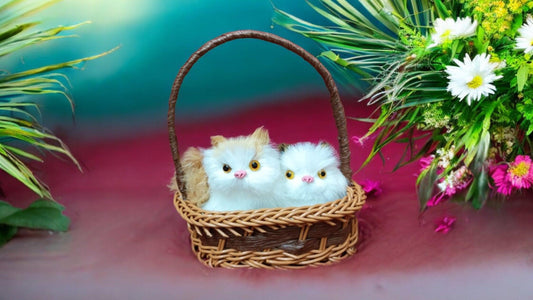Kitten Pair in Basket