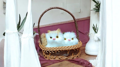 Kitten Pair in Basket