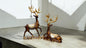 Reindeer Set of 2