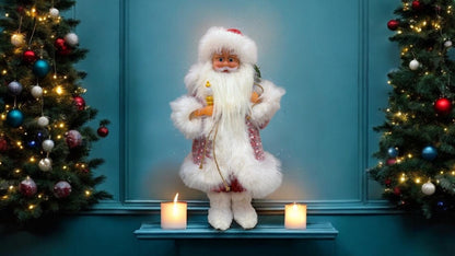 Christmas Decoration with Santa Clause combo