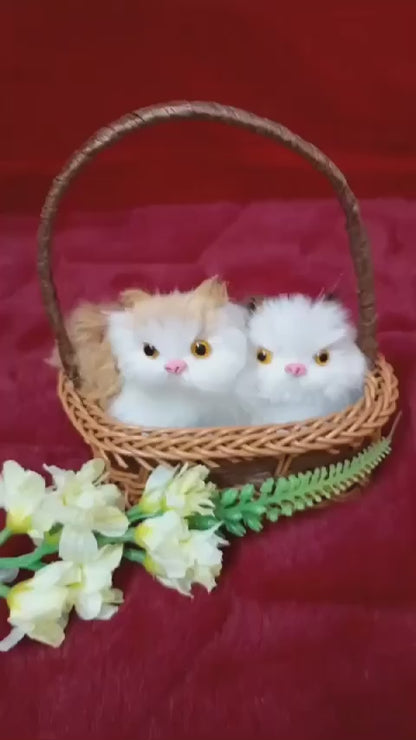 Kitten Pair in Basket