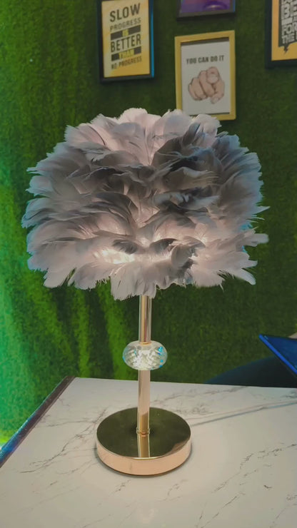 Modern Feather Design Night Lamp